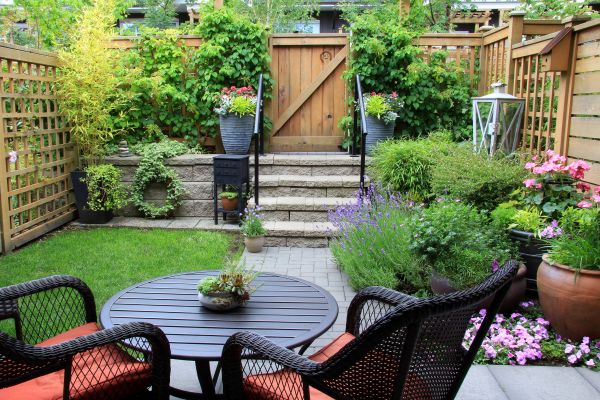 Small Yard Landscaping in Venice