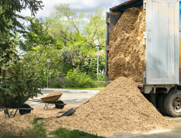 Wood Chips Delivery in Venice