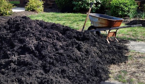 Black Mulch Delivery in Venice