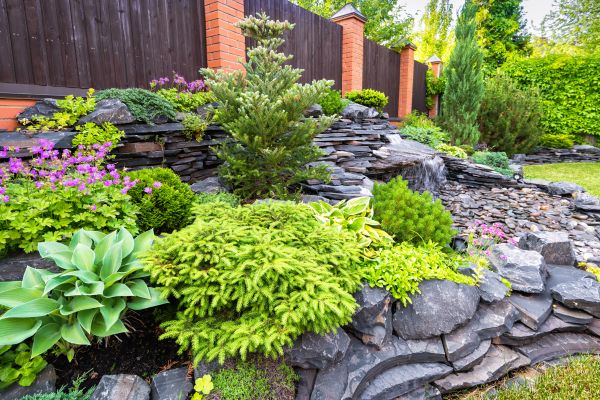 Landscape Remodeling in Venice