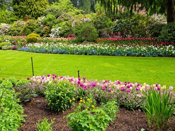 Residential Landscape Design in Venice