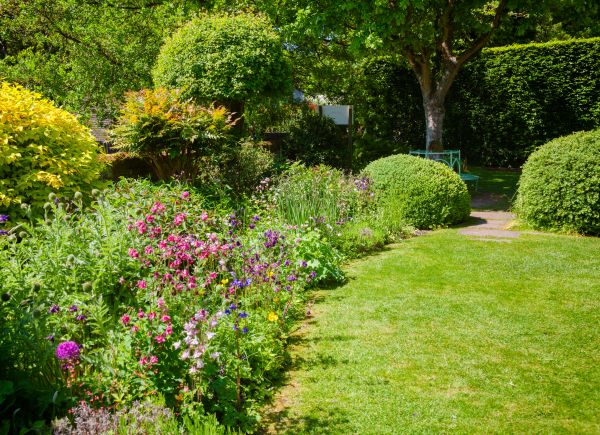 Yard Landscaping Service in Venice