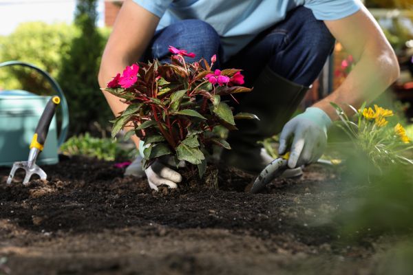 Plant Installation Service