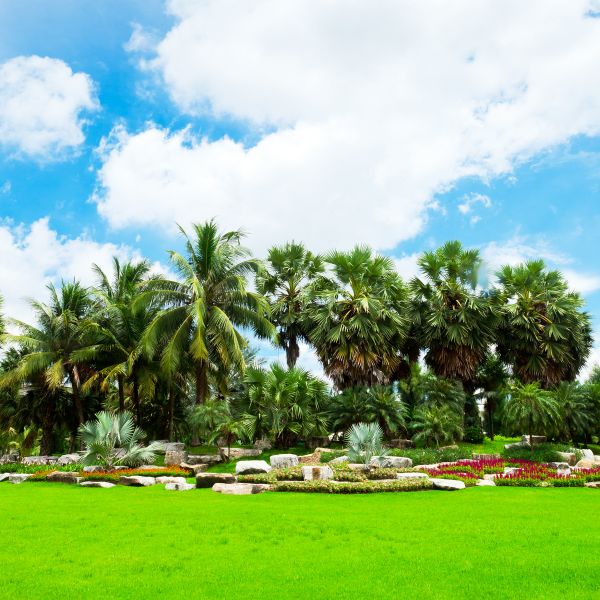 Tropical Landscaping in Venice