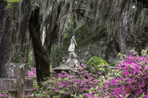 Cemetery Landscaping in Venice