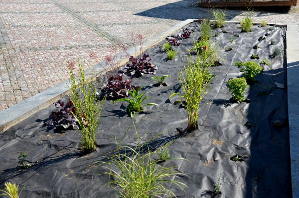 Landscape Fabric Installation in Venice