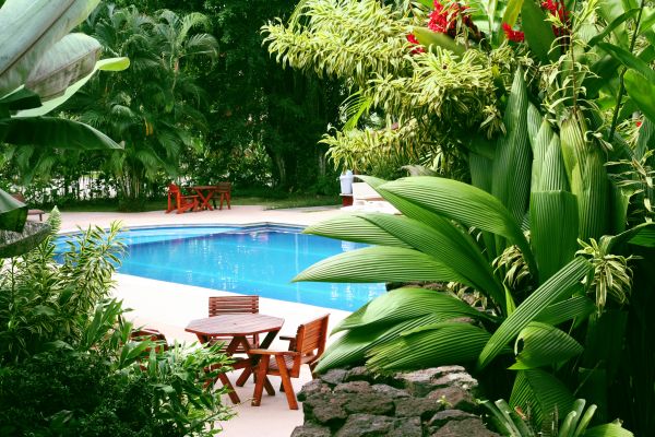 Pool Area Landscaping in Venice