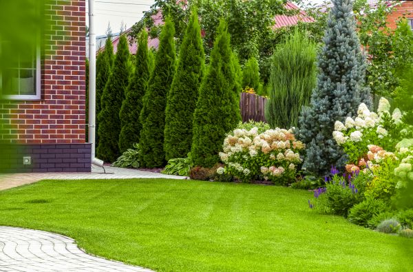 Spring Landscaping in Venice