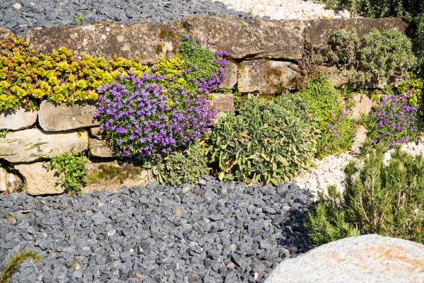 Landscaping Rocks Installation in Venice