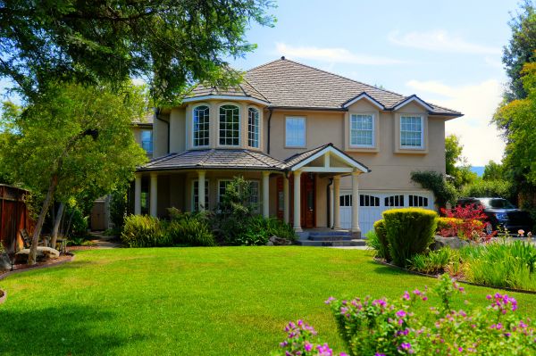 Large Yard Landscaping in Venice