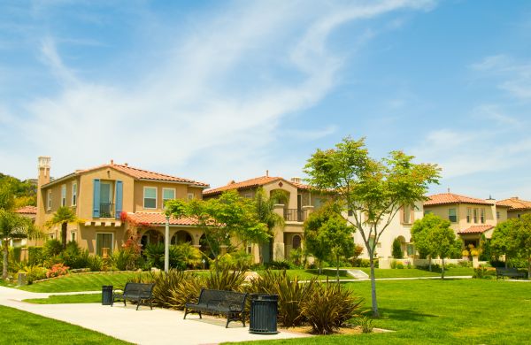 Community Landscaping in Venice