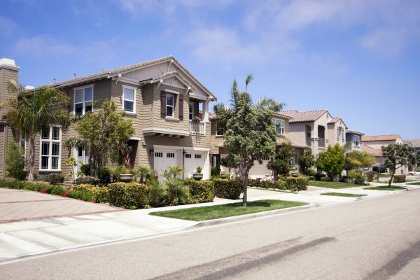 Neighborhood Landscaping in Venice