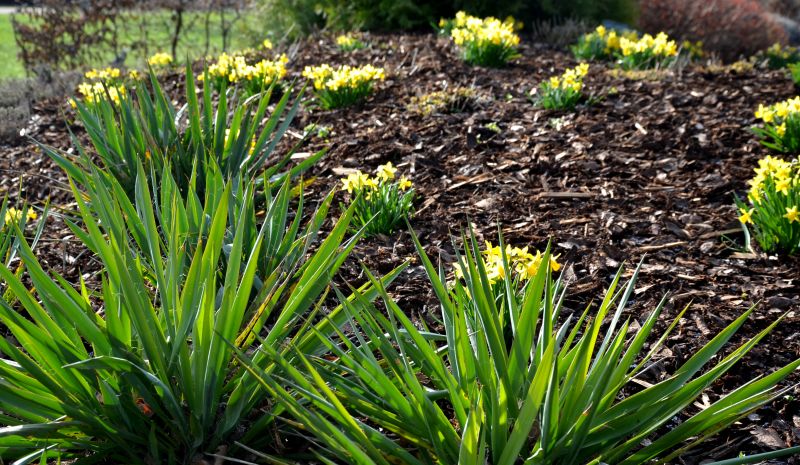 Brown Mulch Installation