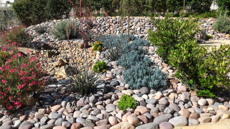 Drought Resistant Landscaping
