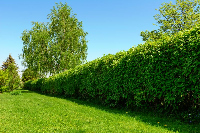 Hedge Planting